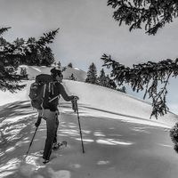 Cursus Oostenrijk Sneeuwschoenwandelen Obdach Zirbenland Halfpension