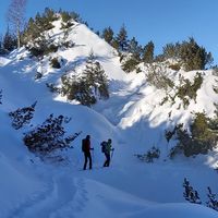 sneeuwschoenwandelen-dagtochten-montafon-vorarlberg-4