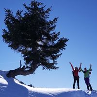 sneeuwschoenwandelen-dagtochten-montafon-vorarlberg-6